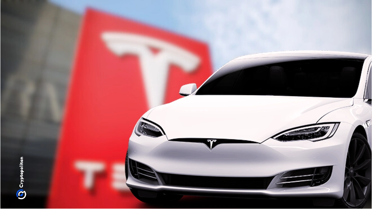 媒体报道称:停产 Cybertruck 和 Model Y 后,特斯拉股价暴跌