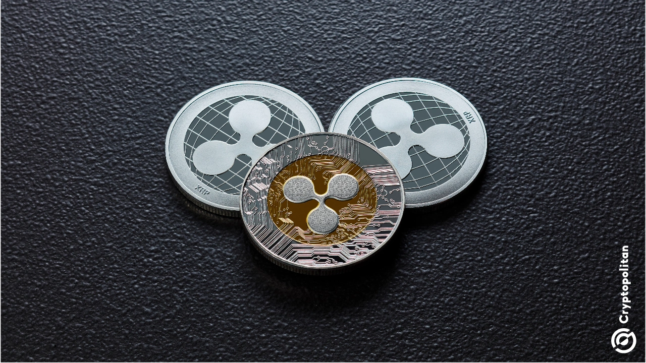 彭博社:现货XRP、狗狗币和卡尔达诺ETF的批准几率提升至90%