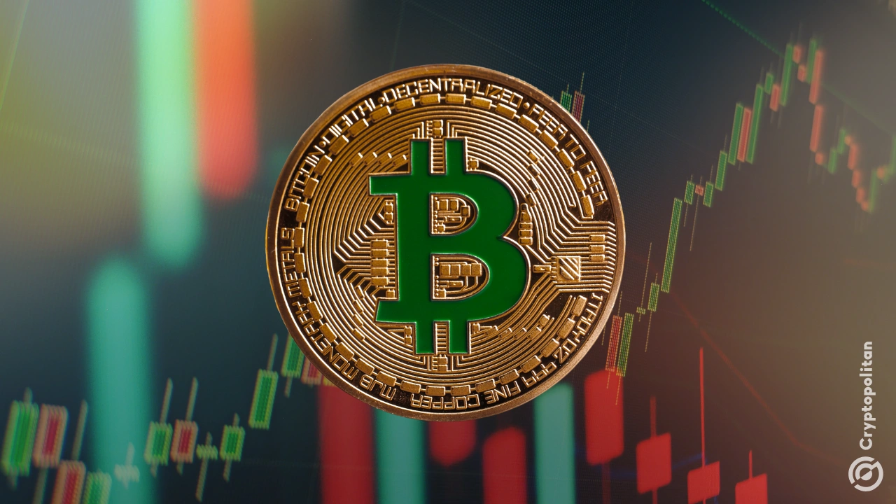 特朗普复出后比特币ETF迎来最大资金流入